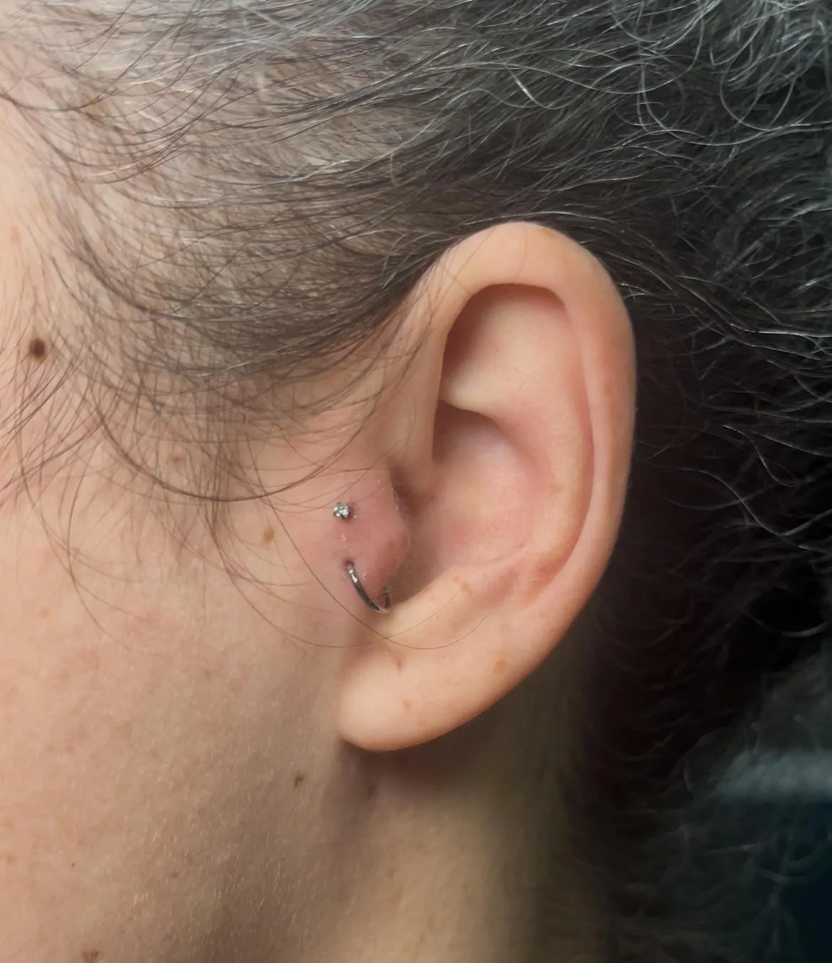 Piercing La Greka 26